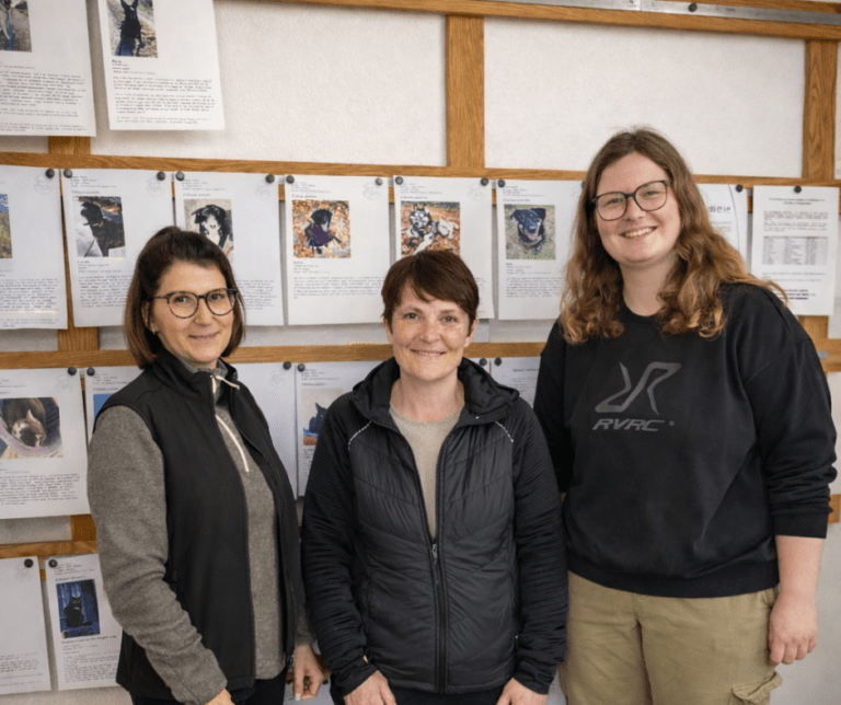 Hinter den Kulissen im Tierheim Plattling